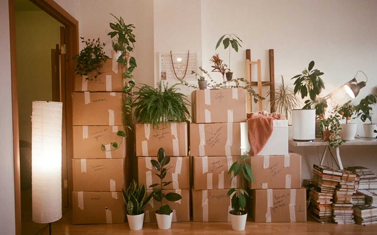 Moving boxes arranged in a furnished home while the owners consider renovating or relocating