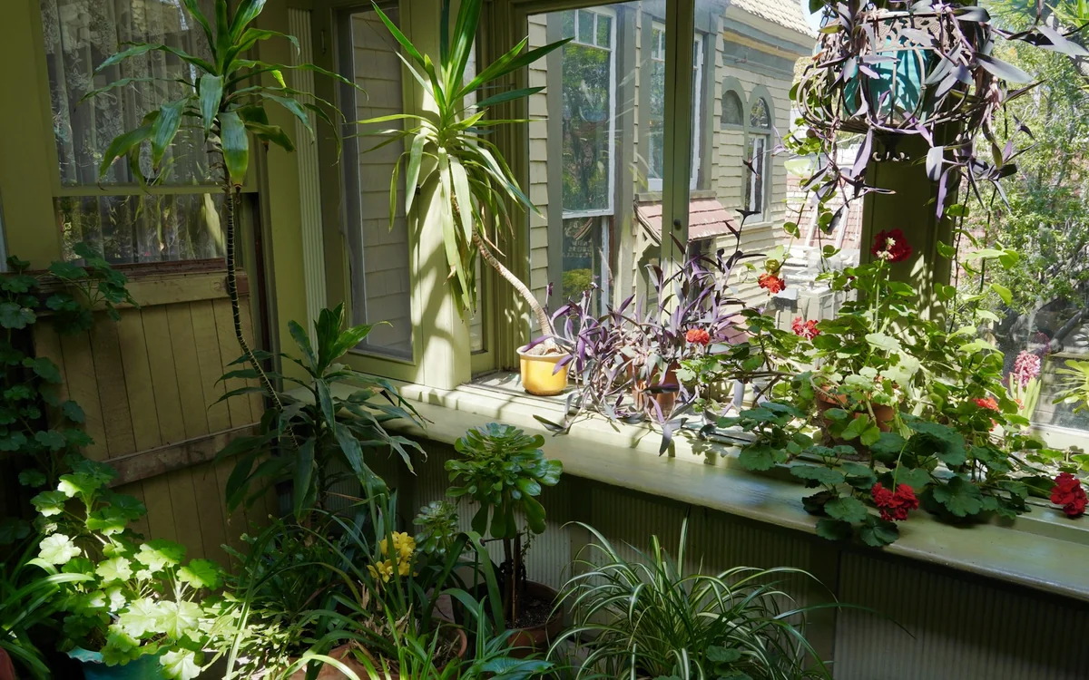 Sunlit enclosed porch with abundant windows, seating, and plants for three-season living